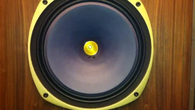 Cary CAD300SEI + DCS Puccini & Tannoy Canterbury