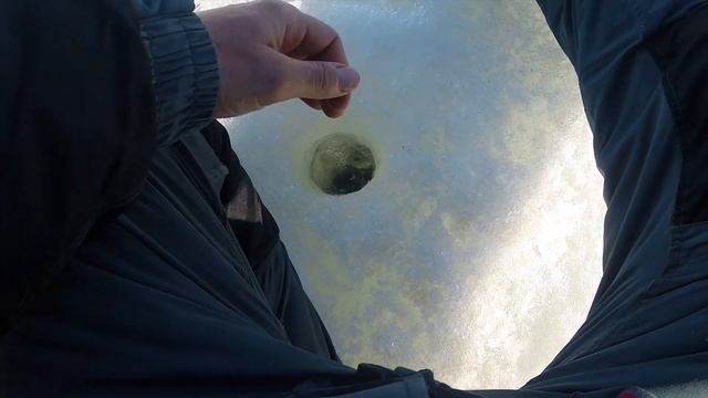ТАКОЙ КРУПНОЙ ПЛОТВЫ Я ЕЩЕ НЕ ЛОВИЛ! Зимняя рыбалка 2019. Безмотылка ЧЕРТИК и ГВОЗДЕШАРИК смотреть онлайн