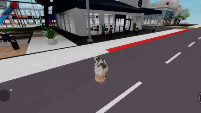 КАК ЛЕТАТЬ В Brookhaven RP?!|Проверяю туторы!!!|ШОК ВСЁ СРАБОТАЛО!!! смотреть онлайн