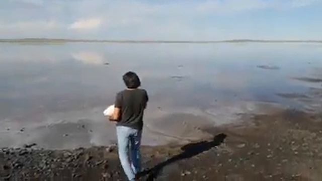 Астанчанин вернул вывезенную соль с озера Кобейтуз смотреть онлайн