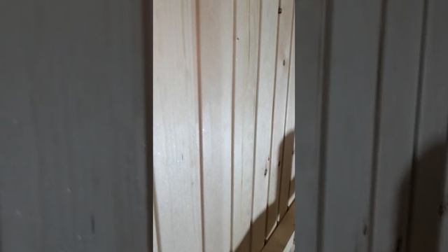 ПРОПИТКА для ВАГОНКИ с эффектом ARCTIC. Защита древесины от влаги. #shorts смотреть онлайн