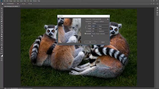 Photoshop for Photographers - Video 16 - Resolution & Image Size смотреть онлайн