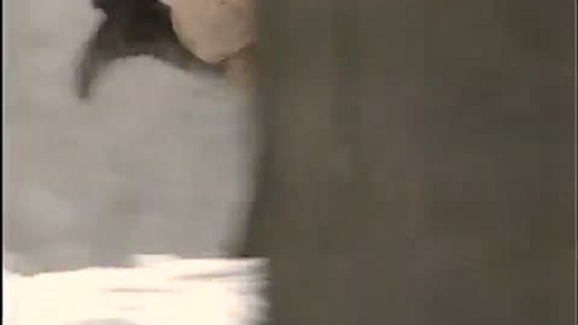 Мы помним смотреть онлайн