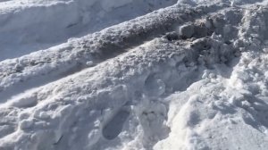 НИВА БРОНТО НА ЦЕПЯХ