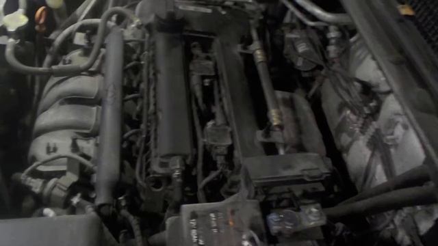 Радостные впечатления