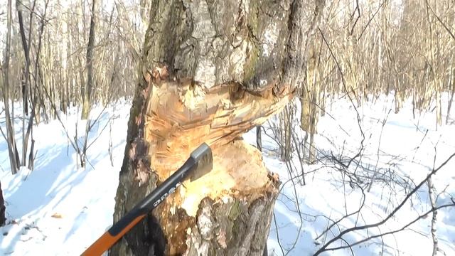 Топор Fiskars X7 - серьезный тест смотреть онлайн