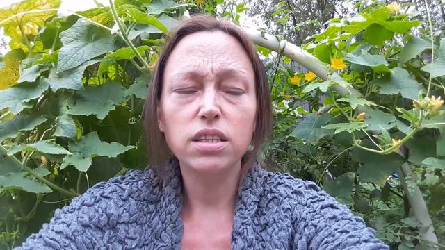 Блогерский парадокс (стереотип) смотреть онлайн