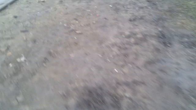 Пушкино. Немного уточек на реке Серебрянке (2019.04.08) смотреть онлайн