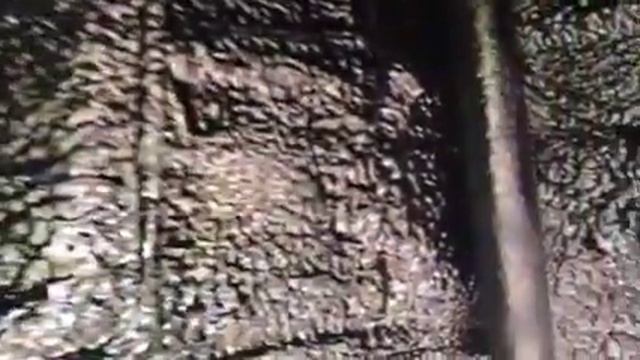 Жидкая шумоизоляция арок автомобиля SsangYong Actyon (СсангЙонг Актион) смотреть онлайн