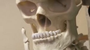 MEWING SONG BYE BYE 🤫1 Hour