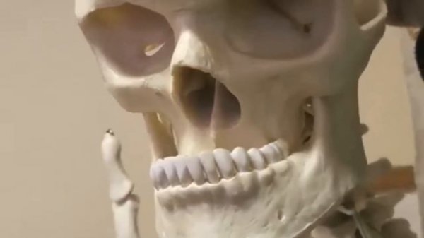 MEWING SONG BYE BYE 🤫1 Hour