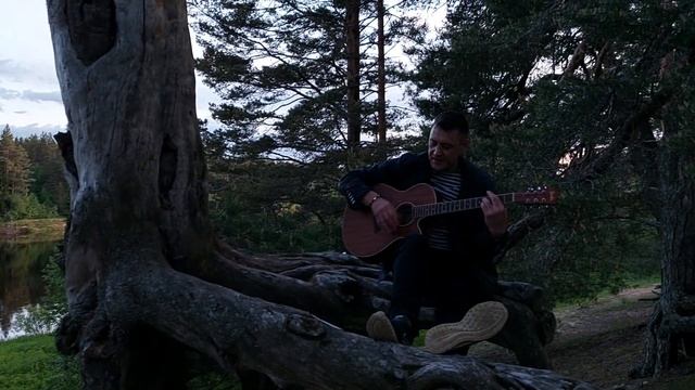 Я в Приморском ресторане/ Алексей Тарабаренков/ песни про любовь смотреть онлайн