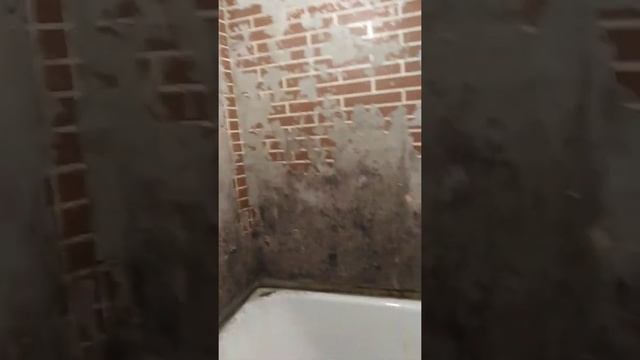 Ремонт в туалете и ванной в 9 этажном понель номера доме смотреть онлайн