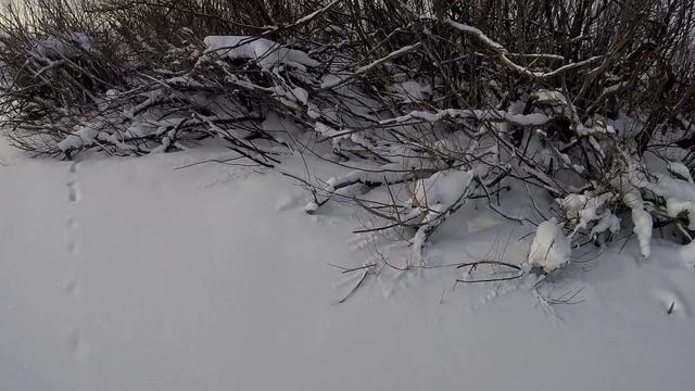 Долгожданный улов!!! Наконец-то дождался!!! Рыбалка на хапуги в СИБИРИ!!! смотреть онлайн