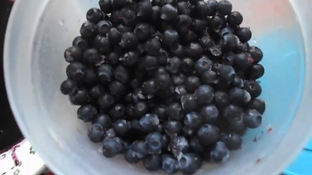 ЧЕРНИКА ЗИМОЙ(руки помой!) смотреть онлайн