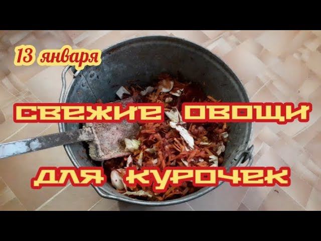 Свежий овощной салат для курочек... смотреть онлайн