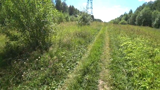 Летний походик на Липовку. Малина. Привал. 30 июля 2022 1 часть. смотреть онлайн