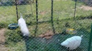 Семиозерка-Казань: Семиозерский монастырь и Анисьины грядки