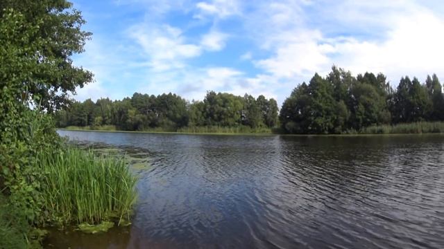 Календарь рыболова на Сентябрь. Прогноз клёва рыбы! Лунный календарь клева Сентябрь. смотреть онлайн