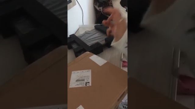 Notebook HP 255 G6 a 15,6" a 96€ su Sharazon.it смотреть онлайн