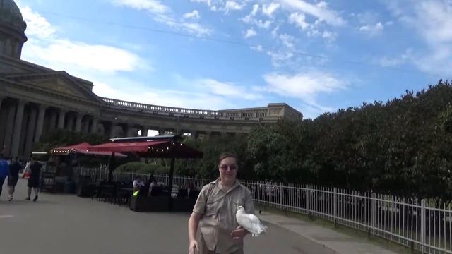 Марсельеза с голубями у Казанского собора, СПб смотреть онлайн