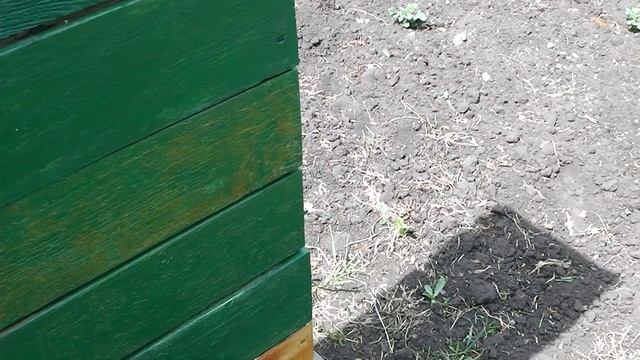 уральский майский мёд.весенний мёд в альпийском улье на корпус н-108 или улей удав.мфу ульи смотреть онлайн