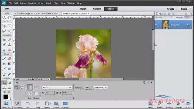 Greeting Card Setup Printing Photoshop Elements 11 12 13 Windows HP Vertical смотреть онлайн