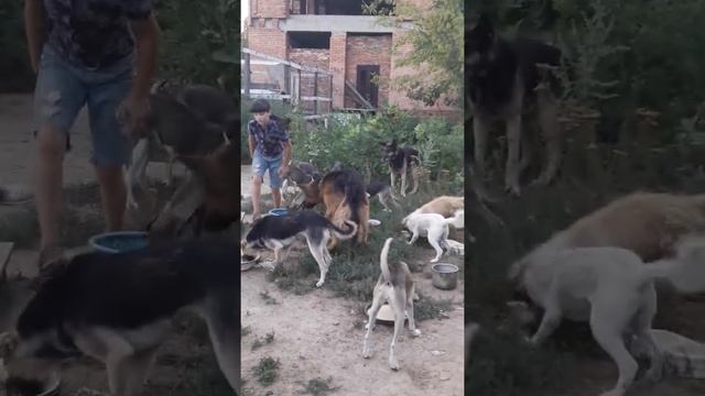 Батаня в приюте смотреть онлайн