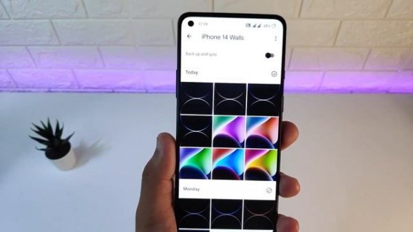 iPhone 14 & 14 Pro Wallpaper 4K Download For All Android & iOS Devices