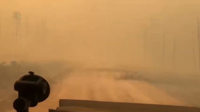 Горит лес. Сибирь смотреть онлайн