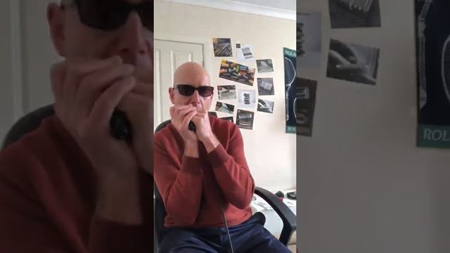 My Interpretation of Can’t Help Falling in Love by Elvis Presley on Harmonica. смотреть онлайн