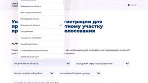 Как проголосовать через «Госуслуги»