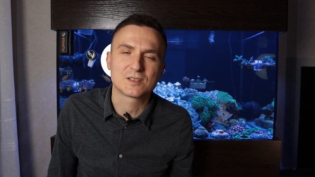 морской аквариум 300 литров | мягкие кораллы | морской аквариум | морские аквариумные рыбки | vlog# смотреть онлайн