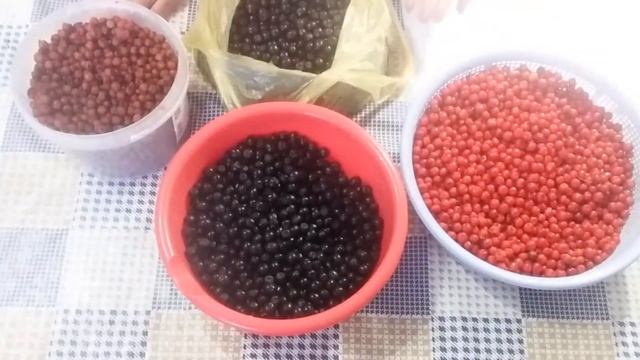 Как сушить ягоды рябины и боярышника в сушилке смотреть онлайн