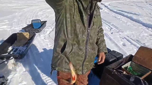 Поездка на озеро. 🎣01.04.23 смотреть онлайн
