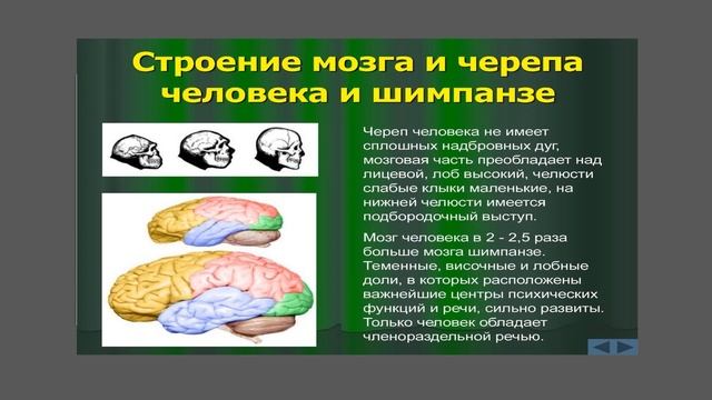 9:50 Философское учение о сознании смотреть онлайн