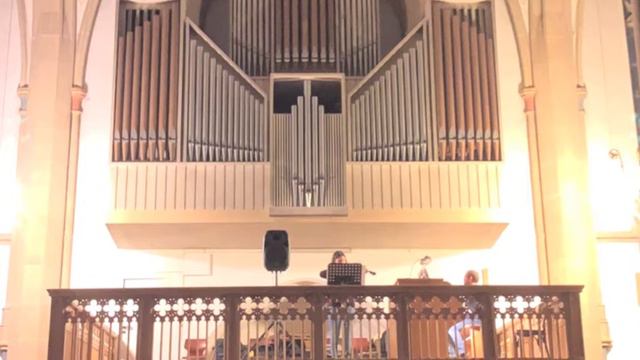 Fear of the Dark - Iron Maiden Cover auf Kirchenorgel und Geige смотреть онлайн
