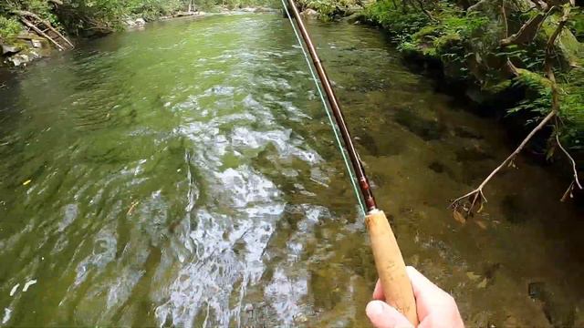 Fly Fishing Delayed Harvest North Carolina смотреть онлайн