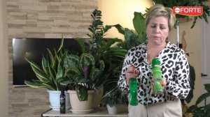 Осень! Как правильно перенести цветы с улицы в дом, и чем их обработать рассказывает Лариса Зарубин