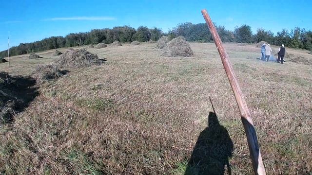 25.07.2020 \ Сенокос \ Часть 1 смотреть онлайн