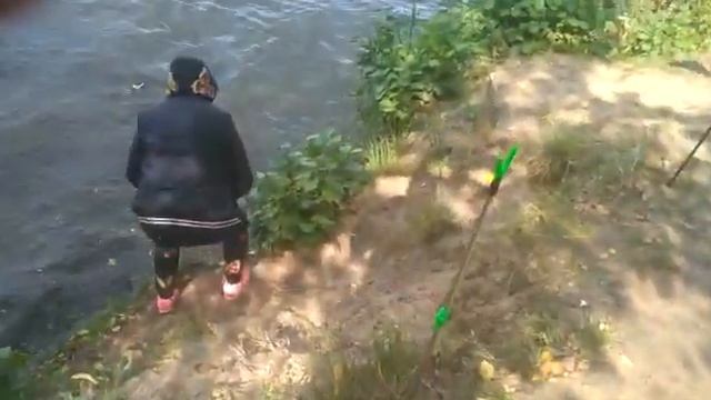 Ловля толстолобика Егорьевский рыбхоз 10.09.17г. Толстолобик 4300 смотреть онлайн