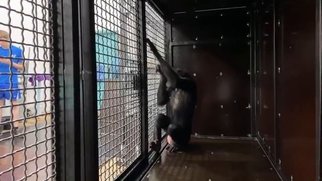 Просто так? (дубль два) смотреть онлайн