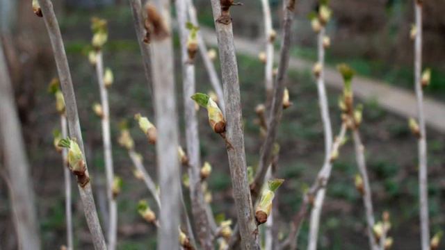 Апрель, второе, начало...