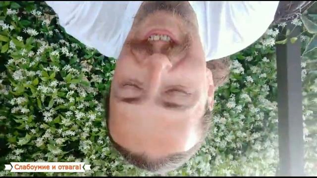 BAJAJ Dominar 400 добрался до Италии... Пиза Рим Римини и тд смотреть онлайн