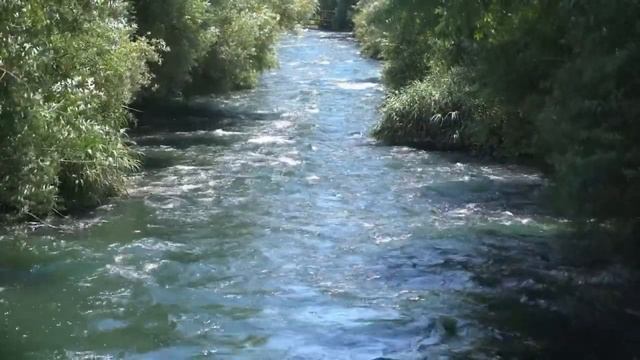 ЖИЗНЬ В ВЫСШИХ МИРАХ. /// Nelli Linde /// смотреть онлайн