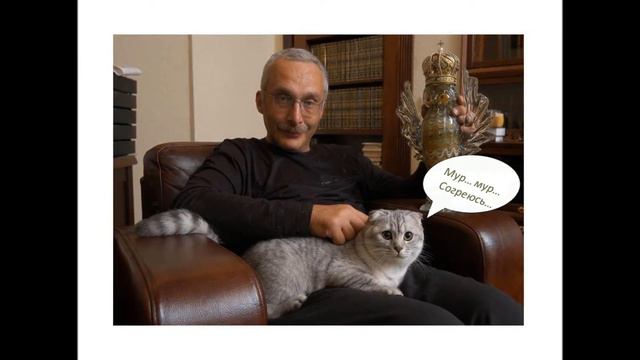 Мартовский кот смотреть онлайн