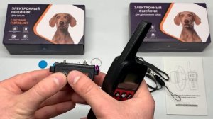Электронный ошейник для собак PD-529А. Обзор, комплектация.mp4