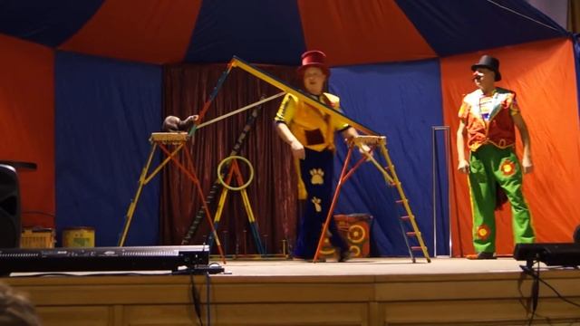 Цирк. Хорьки и кошки. смотреть онлайн