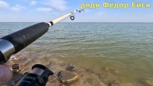 Ейск. Попал на хороший клёв пеленгаса. Азовское море. Таганрогский залив. Рыбалка в мае.