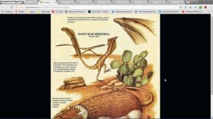 животные будущего ( часть 3 )